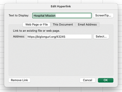 Screenshot of Edit Hyperlink dialog box with Text to Display highlighted