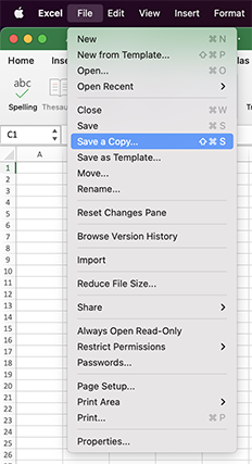 Screenshot of Excel File Save a Copy selected