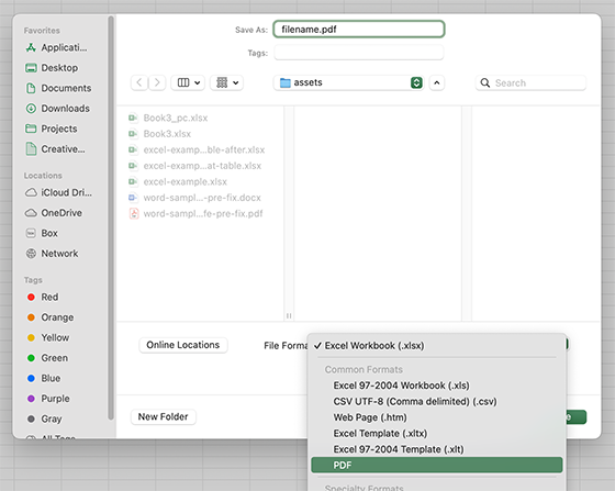 Screenshot of Excel save dialog box with File Format PDF selected